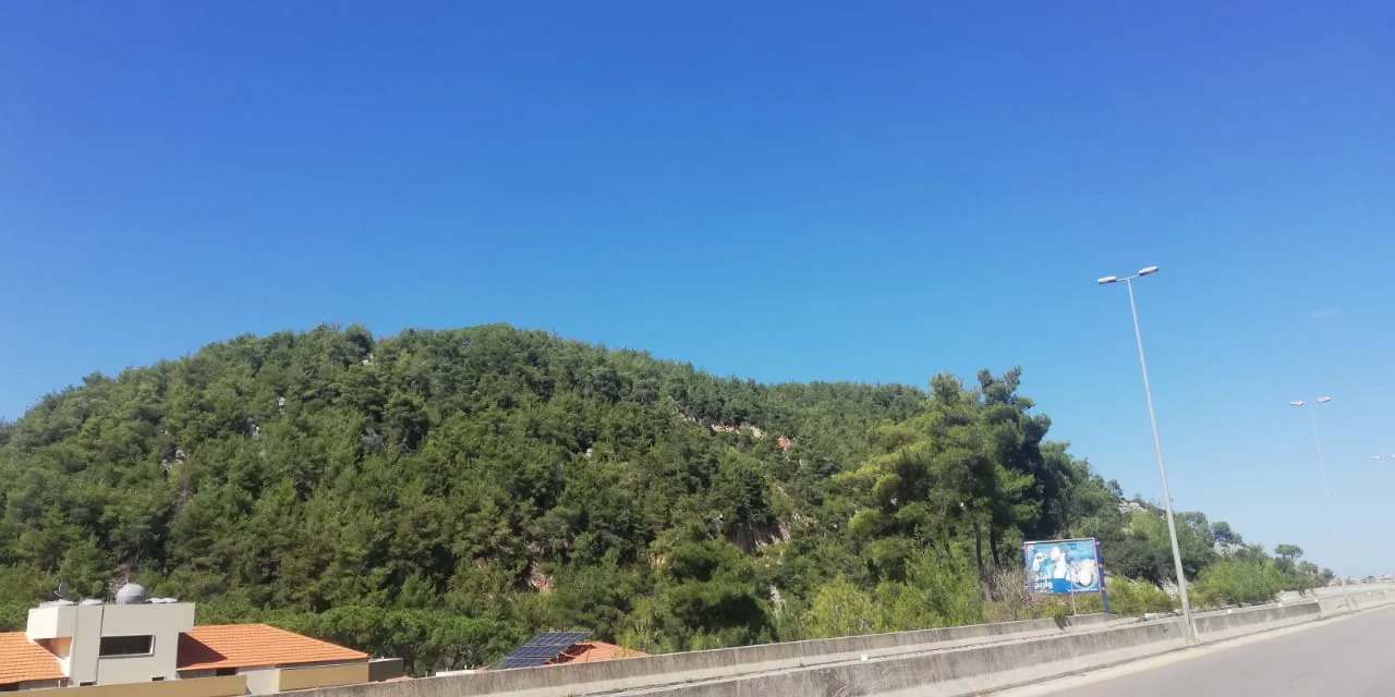 Land for Sale in Jouret El Ballout, Lebanon — الصورة 2