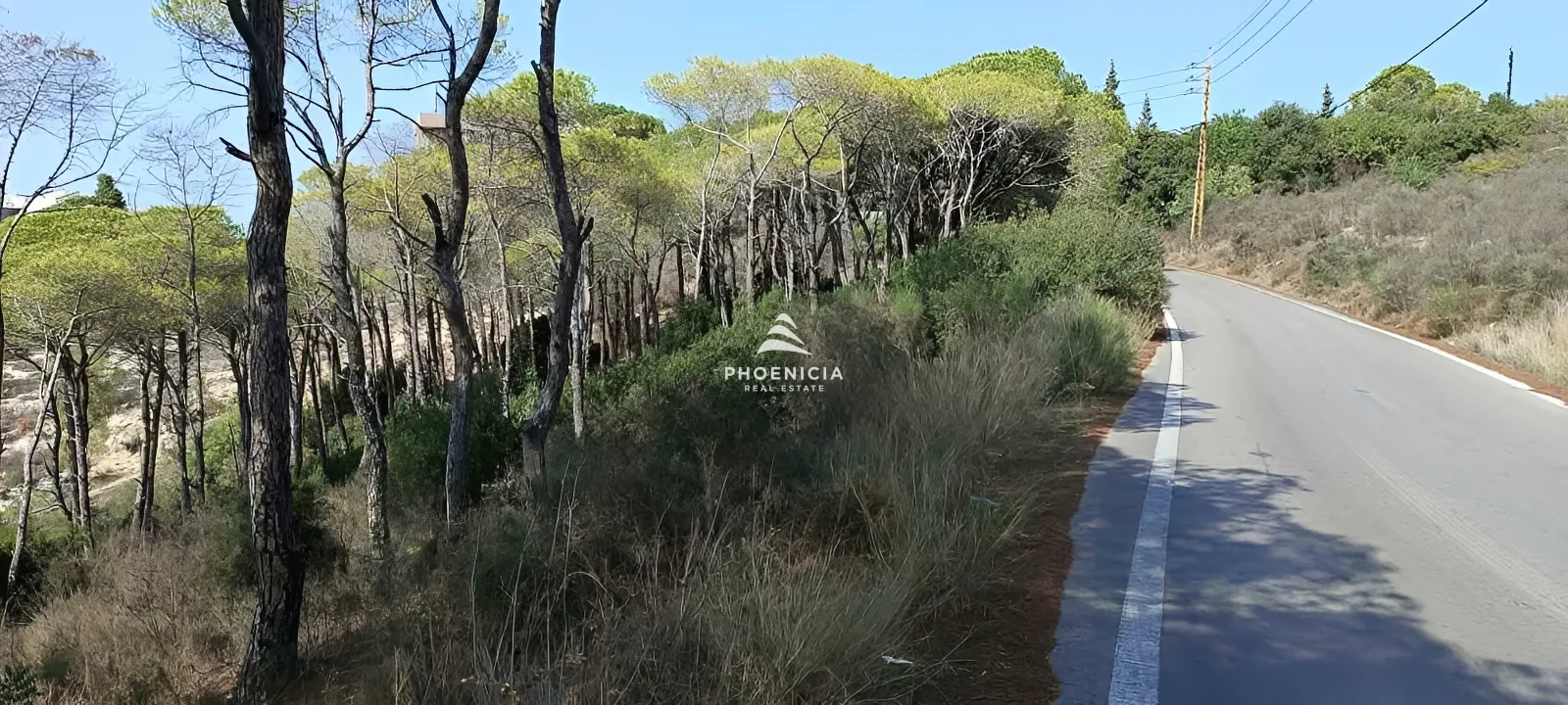 Land for Sale in Gharzouz — الصورة 9