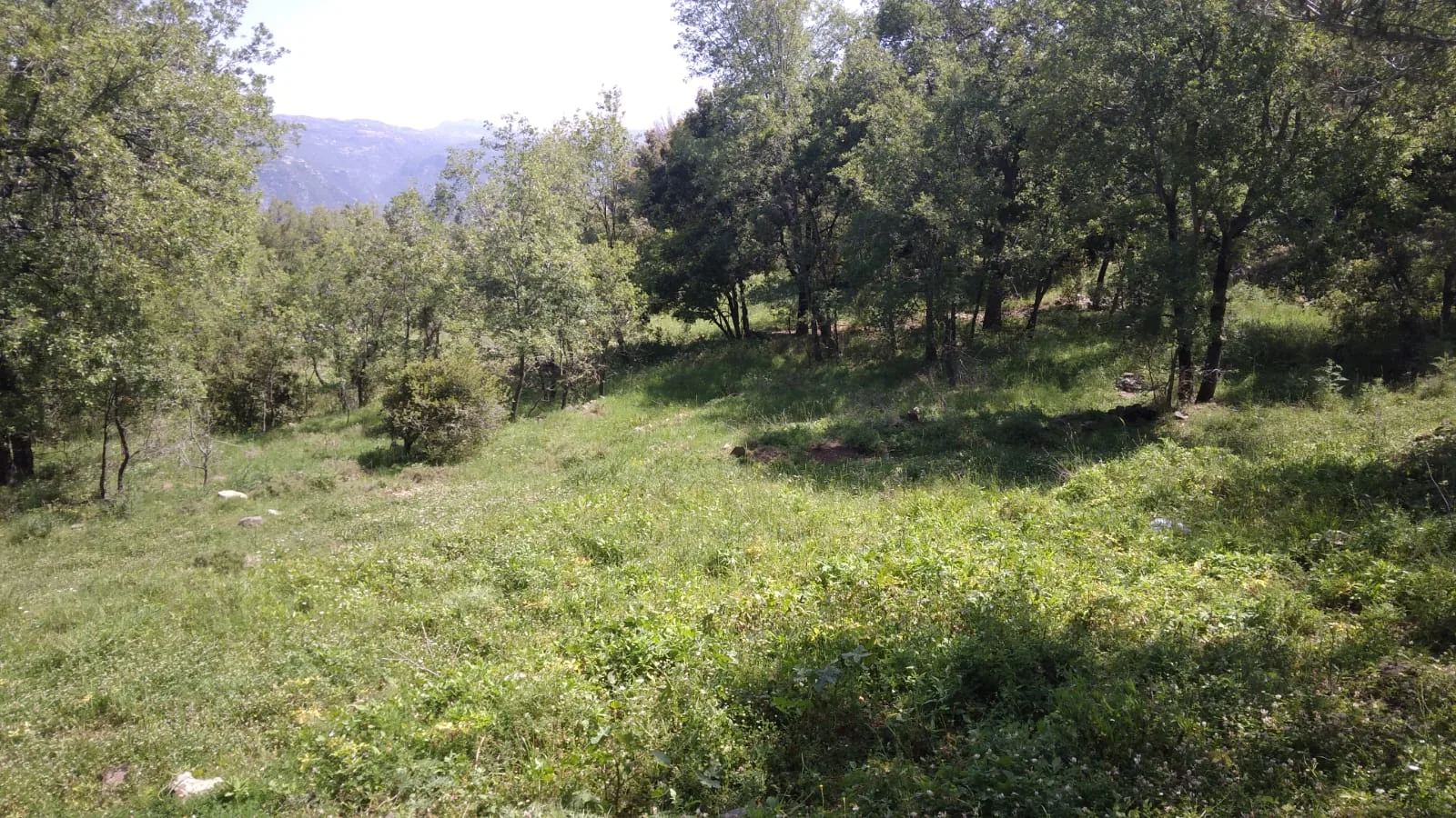 Land for Sale in Bikfaiya, Lebanon — الصورة 2
