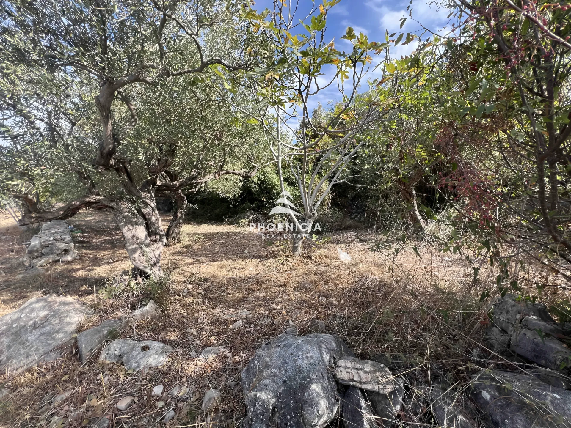 Land for Sale in Chikhane — الصورة 5