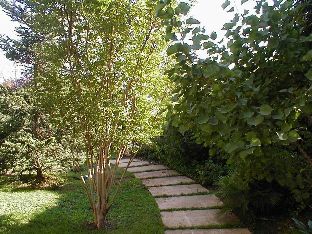 Villa for Sale in Baabdat, Lebanon — الصورة 5