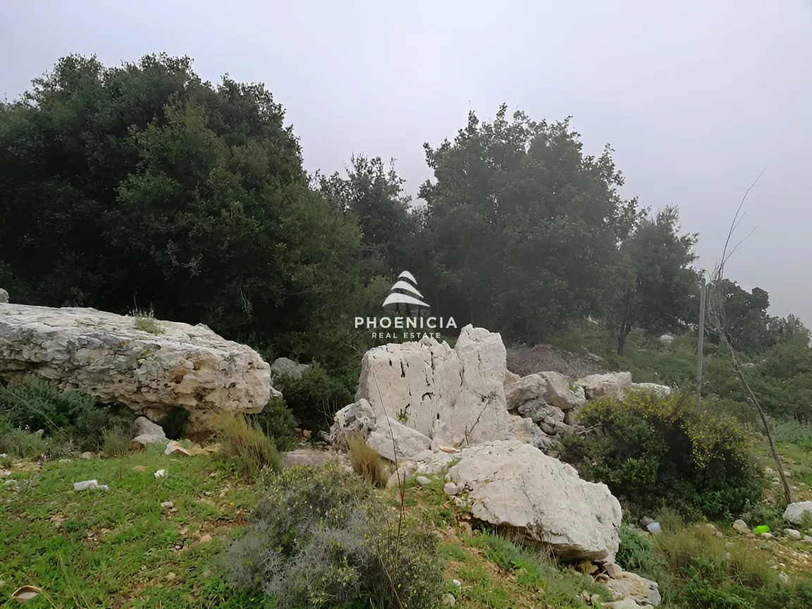 Land for Sale in Blat — الصورة 3