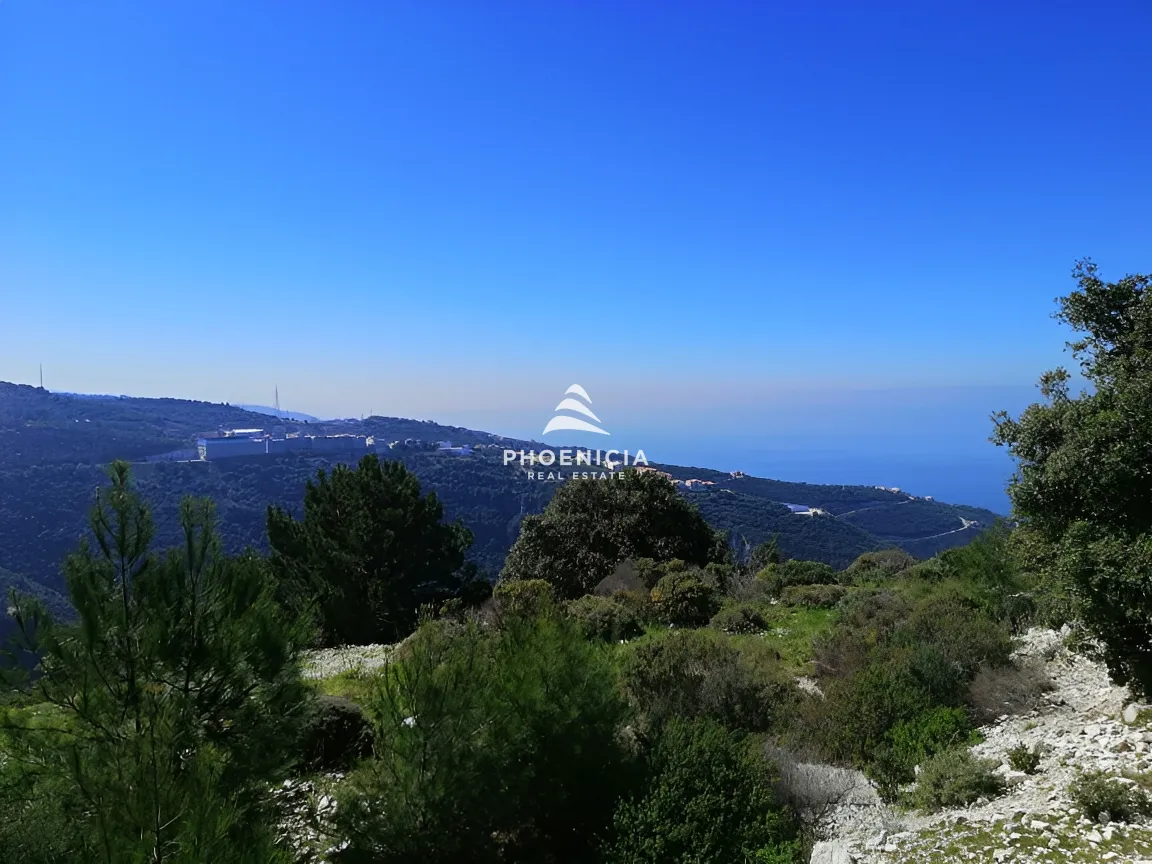 Land for Sale in Blat — الصورة 6