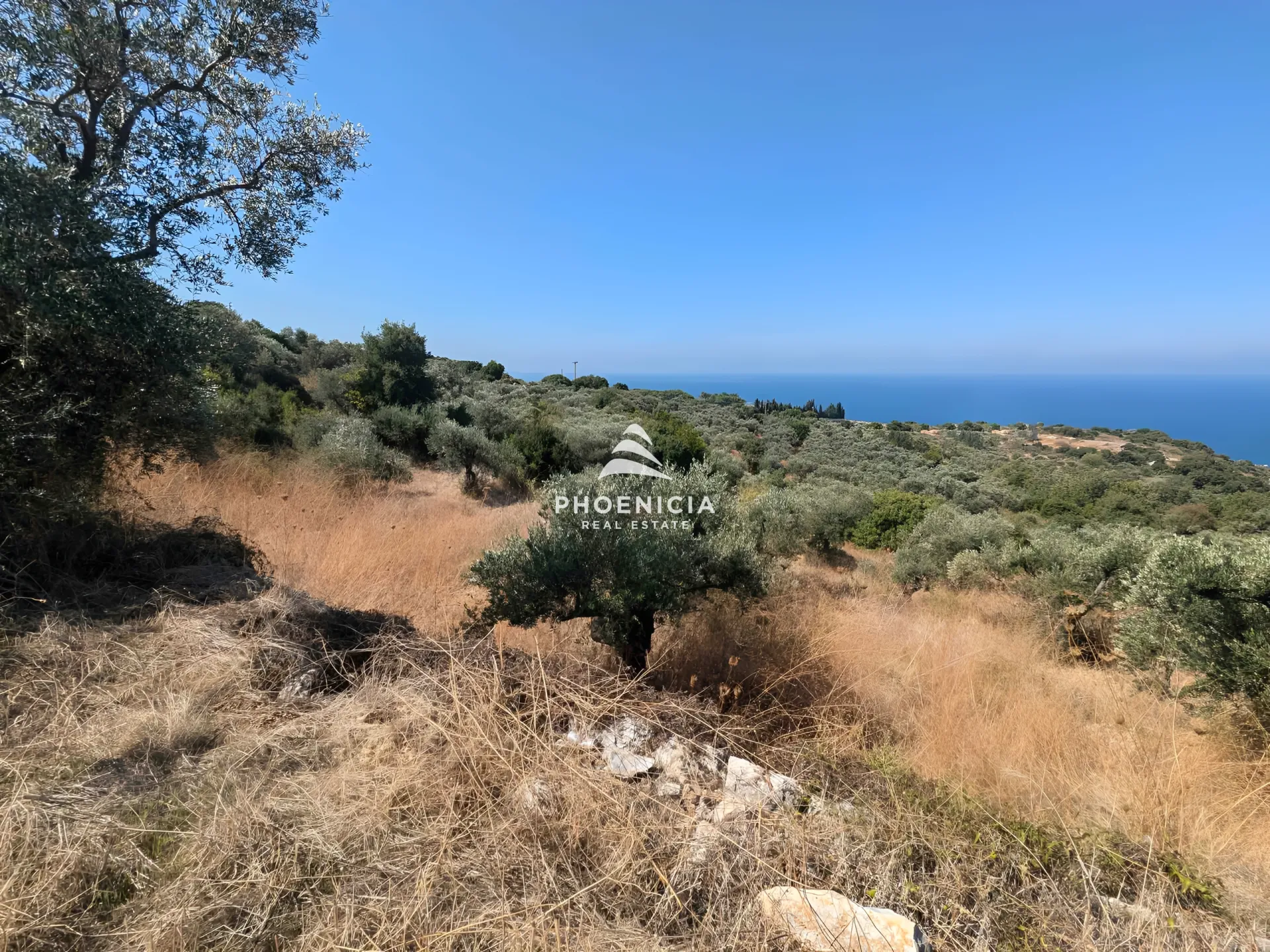 Land for Sale in Kfar Kedah, Lebanon — الصورة 7