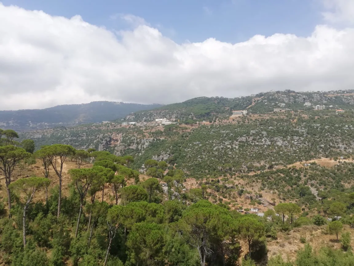 Land for Sale in Bzebdine, Lebanon — الصورة 2
