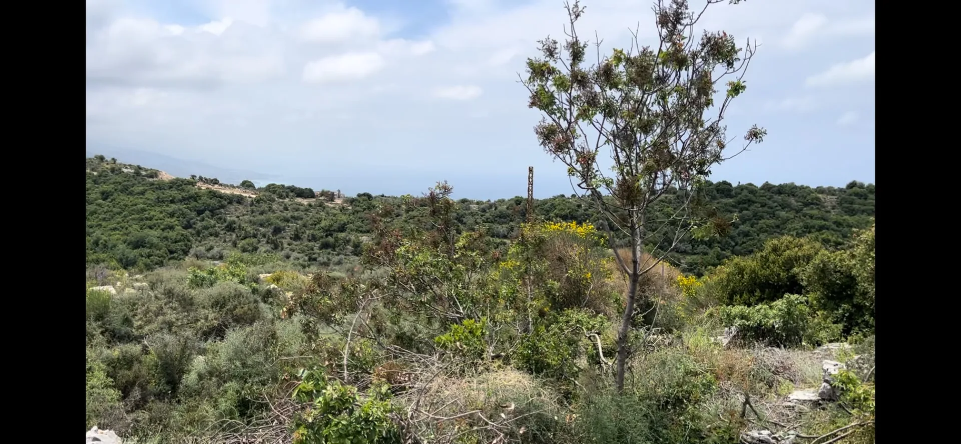Land for Sale in Byblos — الصورة 5