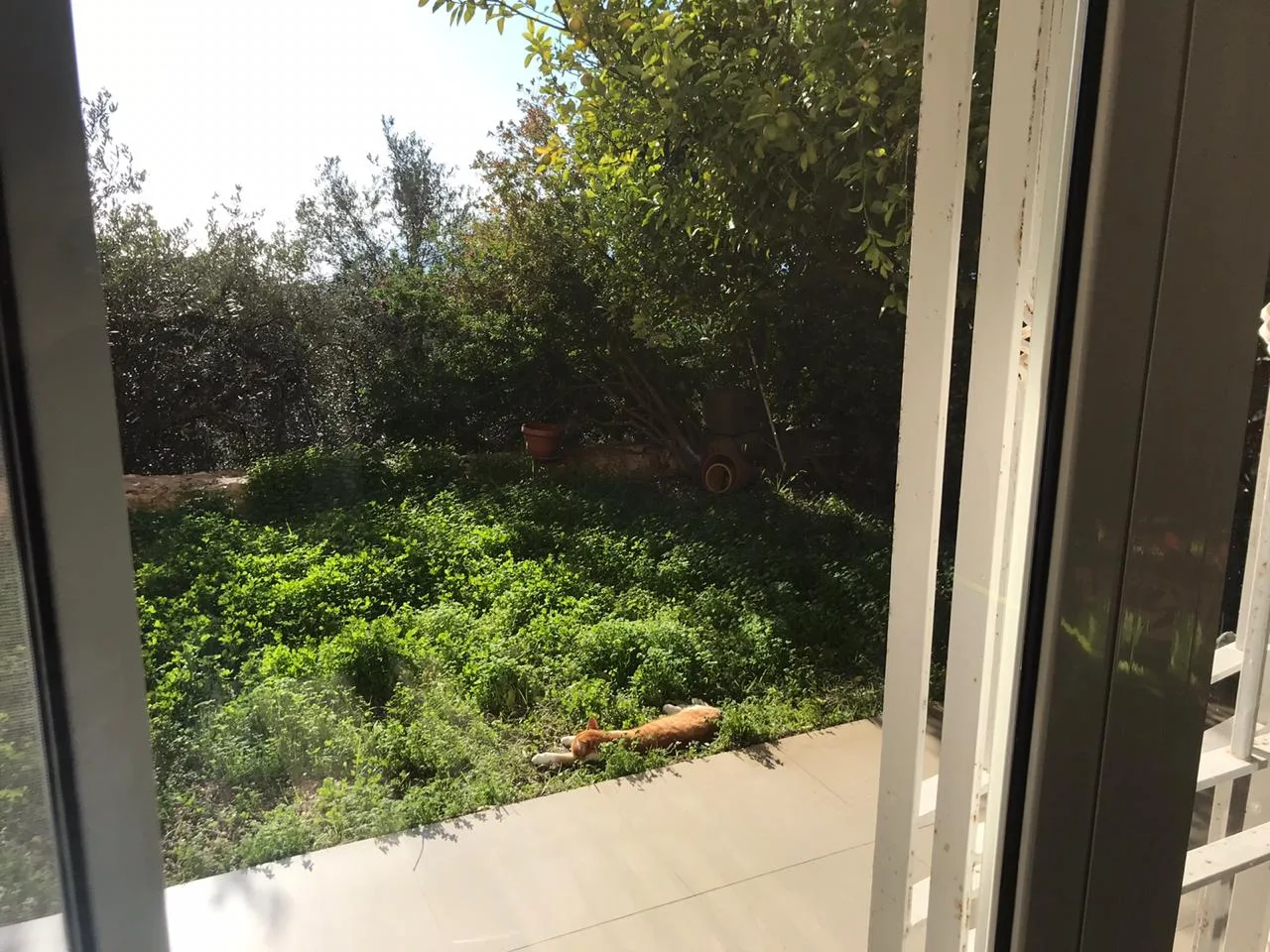 Triplex for Sale in Aamchit, Lebanon — الصورة 7