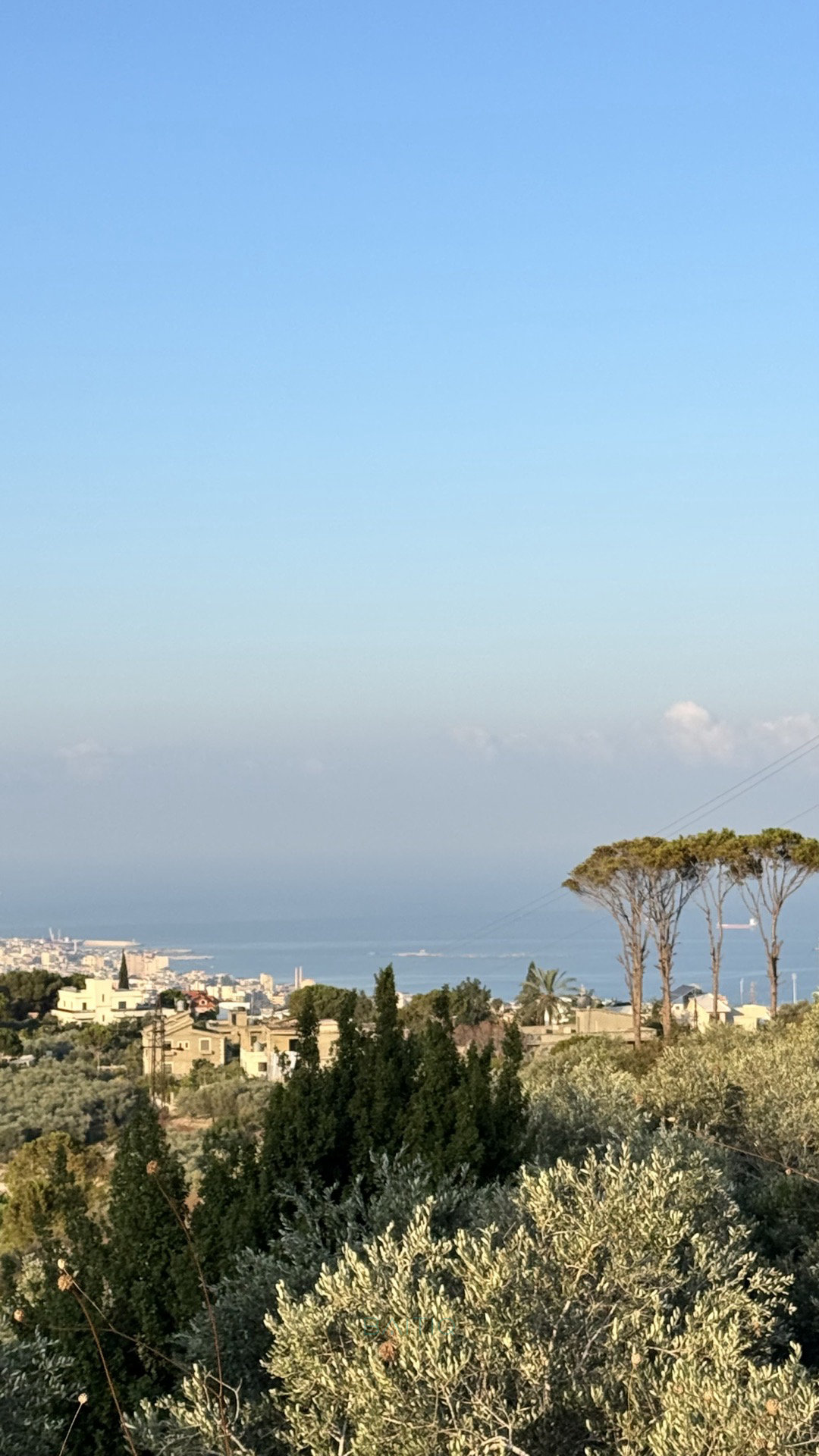  أرض للبيع – الجميليّة — الصورة 5