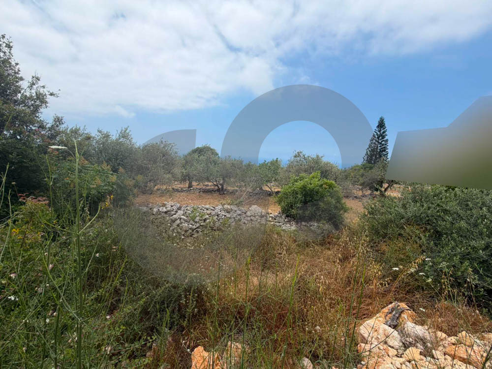 LAND FRO SALE, PRIME LOCATION, MONSEF-JBEIL — الصورة 3