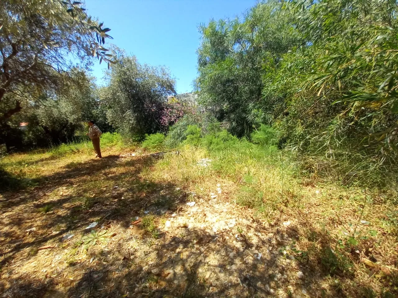 Land for Sale in Kfar Hbab, Lebanon — الصورة 3