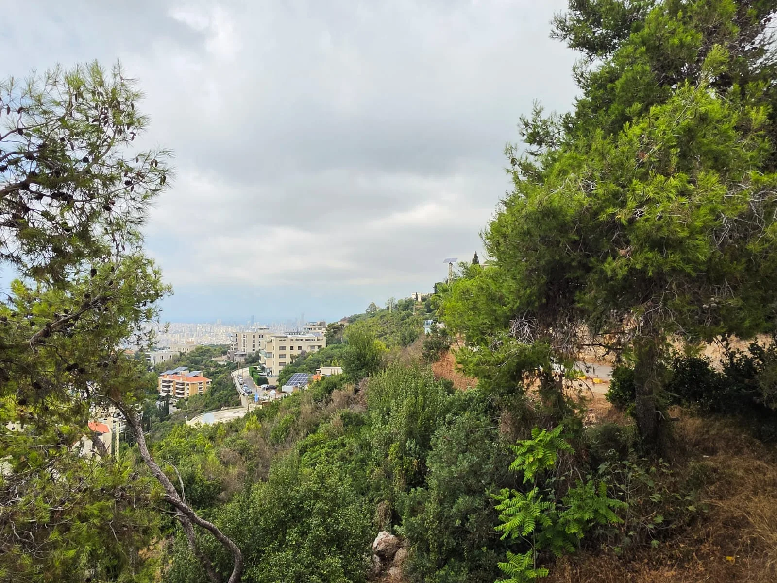 Apartment for Sale in Yarzeh — الصورة 8