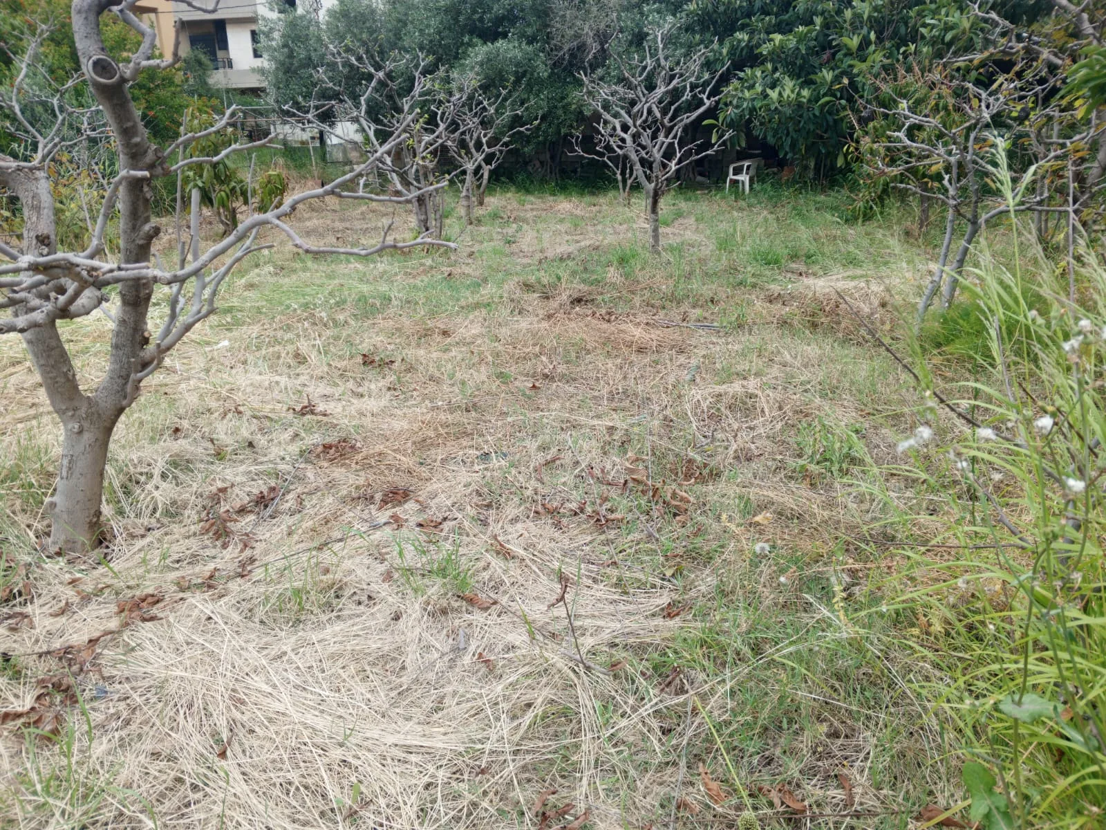 Land for Sale in Aamchit — الصورة 1
