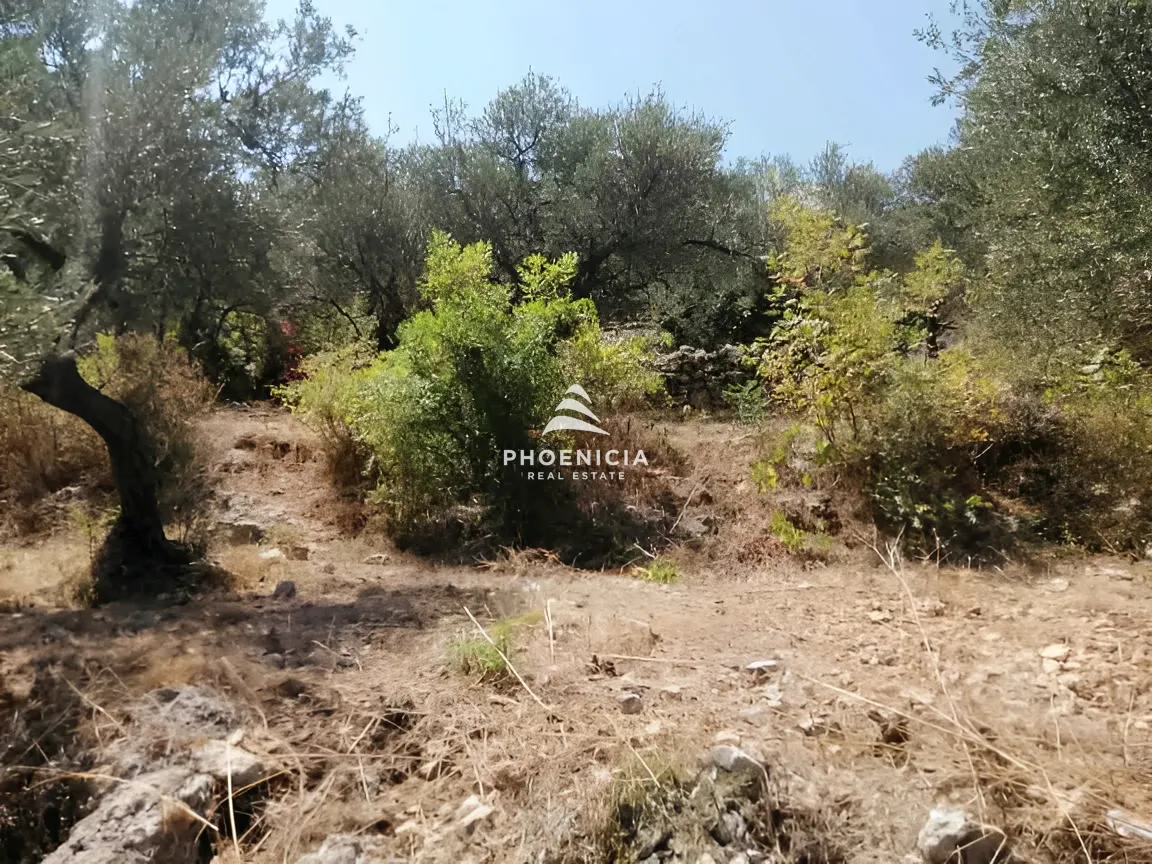 Land for Sale in Monsef — الصورة 11
