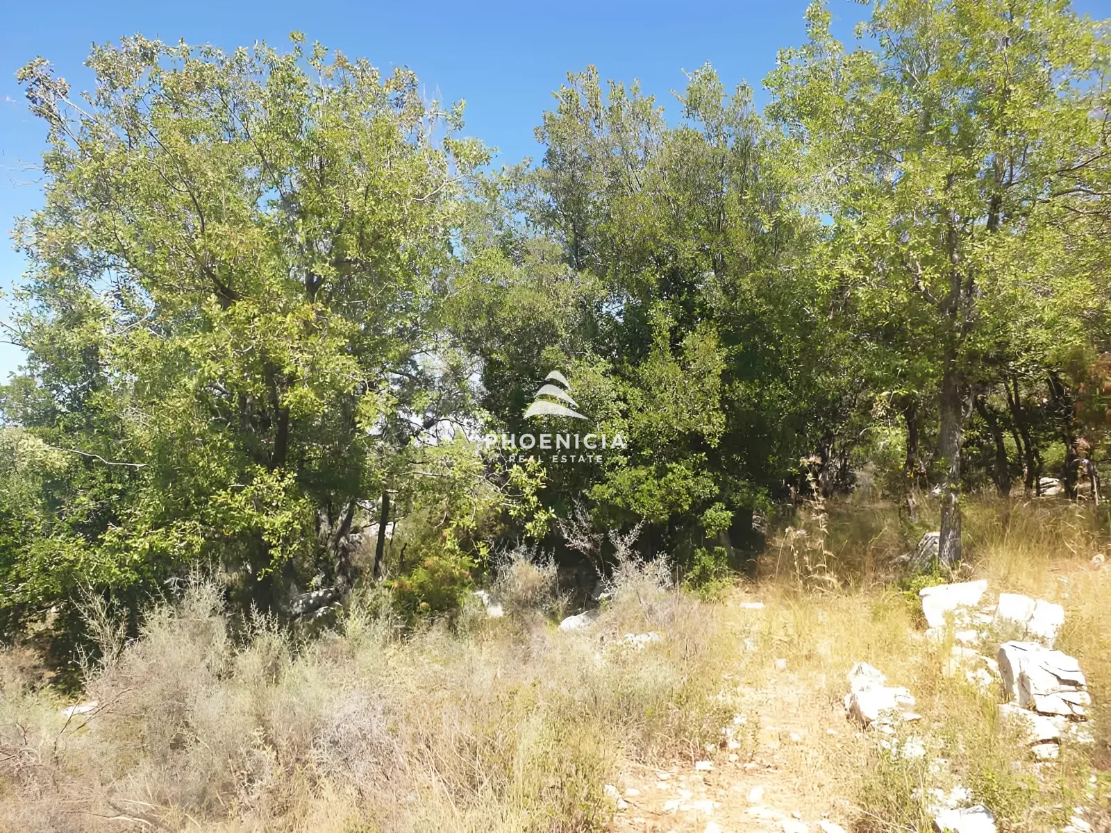 Land for Sale in Mechmech — الصورة 6