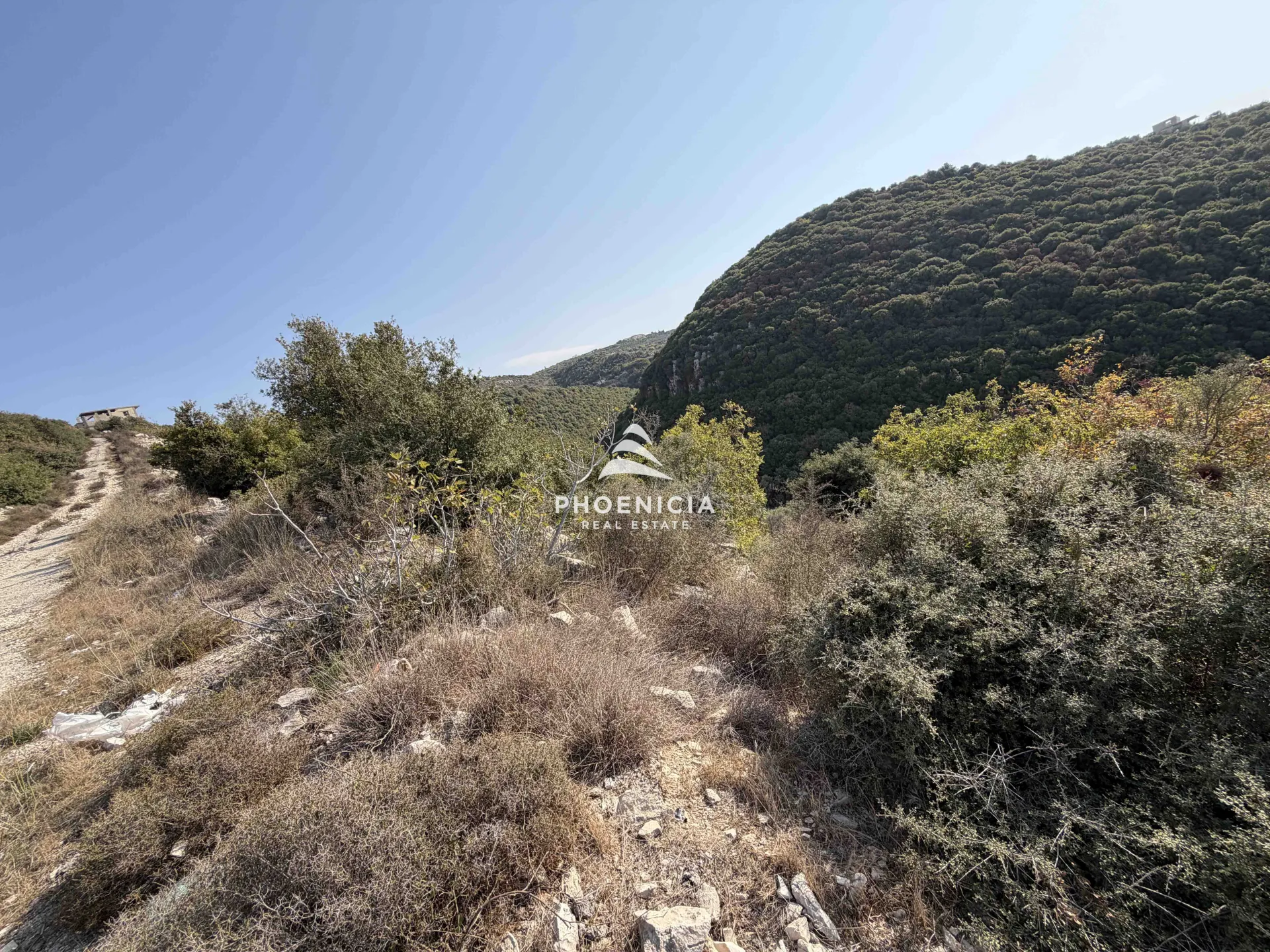Land for Sale in Gharzouz — الصورة 3