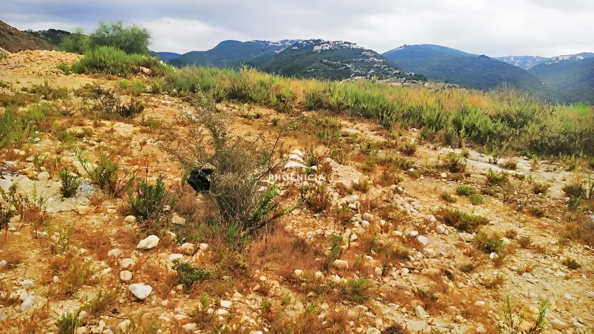 Land for Sale in Edde — الصورة 2