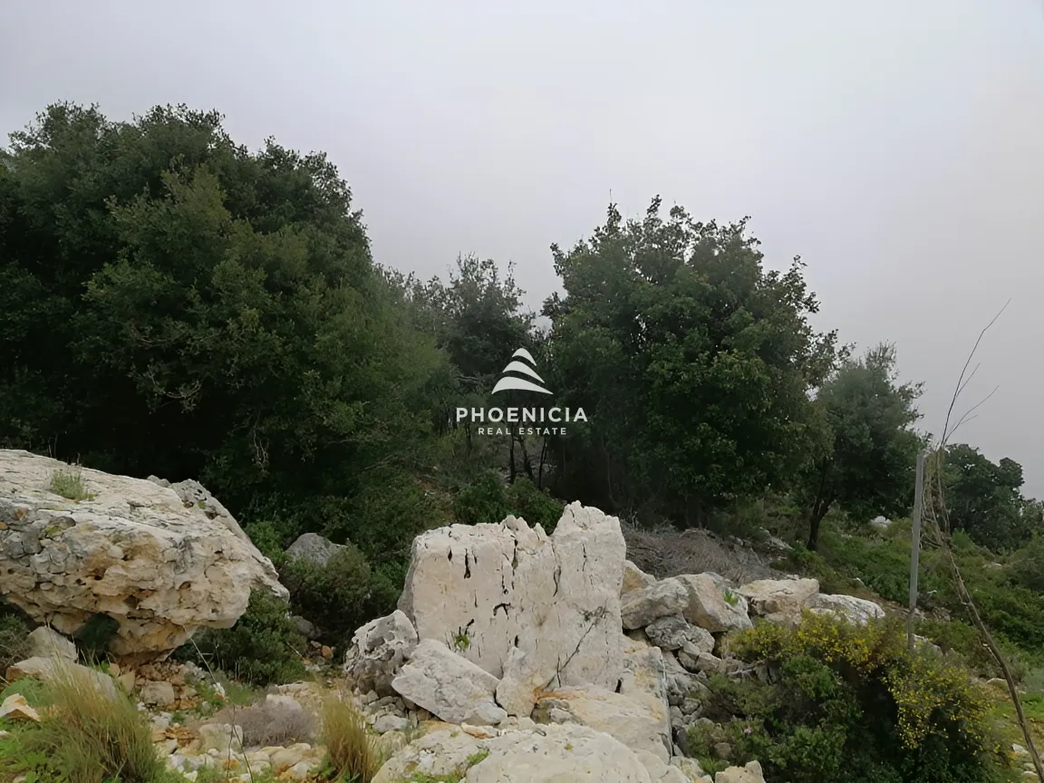 Land for Sale in Blat — الصورة 14