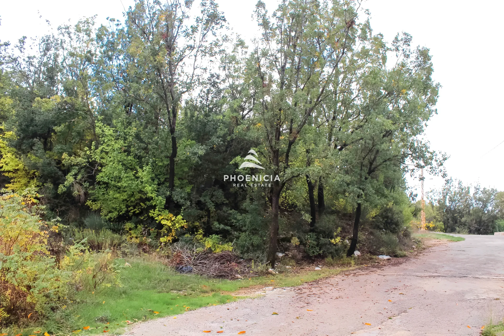 Land for Sale in Kfar Baal — الصورة 4