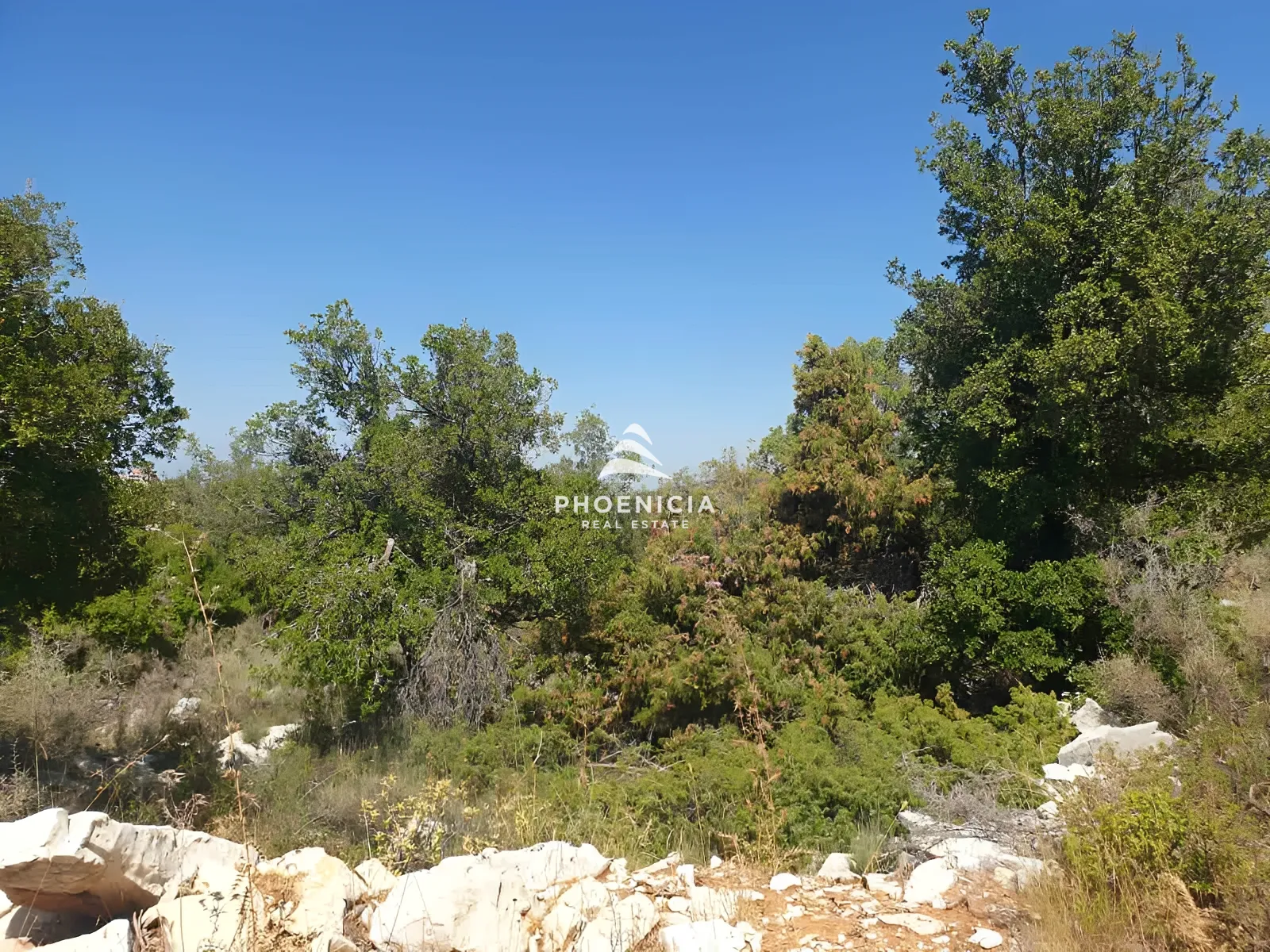 Land for Sale in Mechmech — الصورة 4