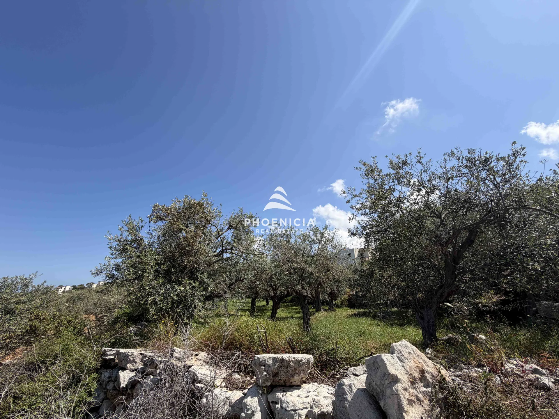 Land for Sale in Monsef — الصورة 3