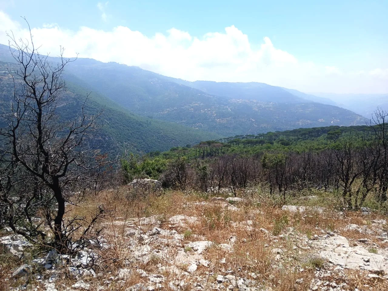 Land for Sale in Mtein