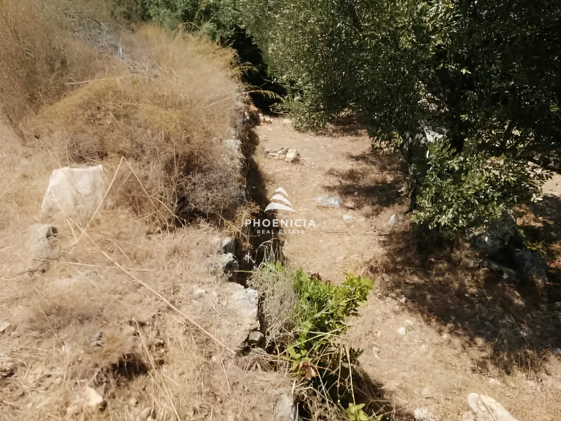 Land for Sale in Monsef — الصورة 5