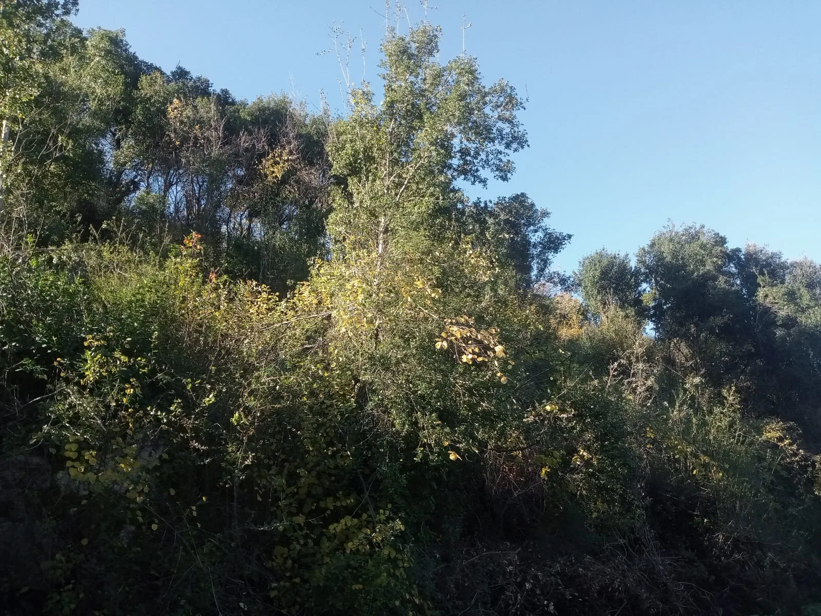Land for Sale in Kfoun , Lebanon — الصورة 2