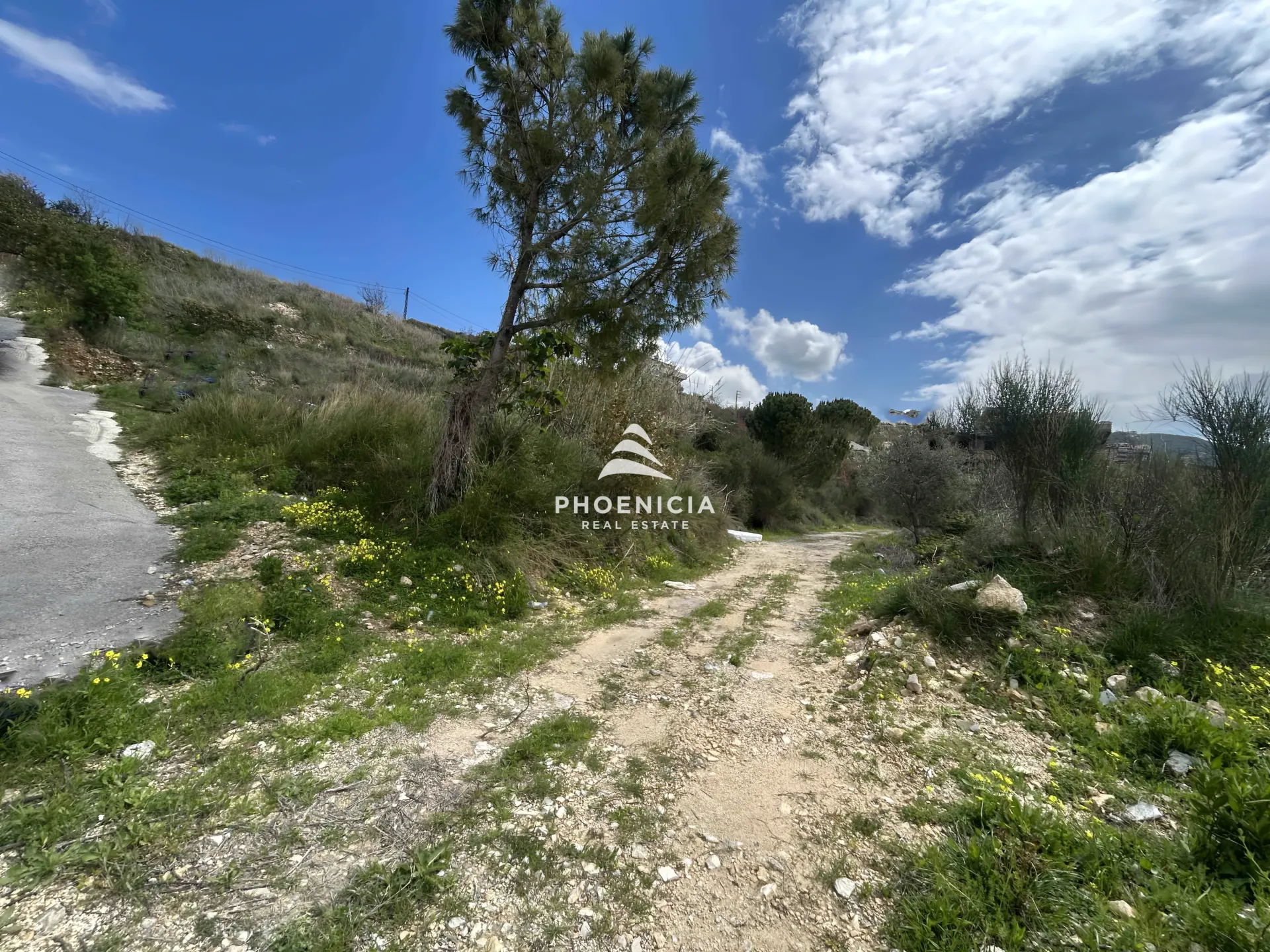 Land for Sale in Habboub — الصورة 6