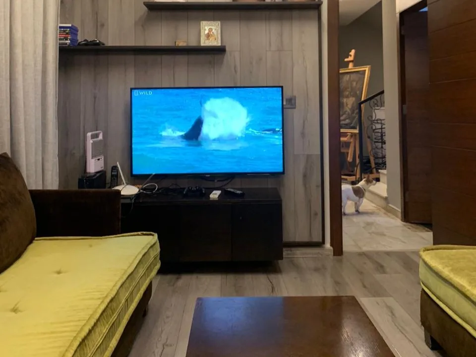 Villa for Sale in Halat, Lebanon — الصورة 6