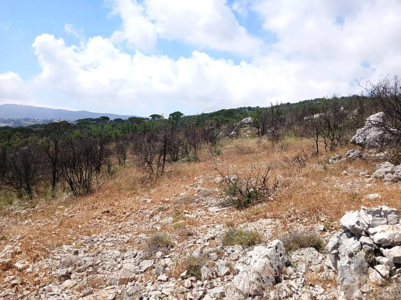 Land for Sale in Mtein — الصورة 5