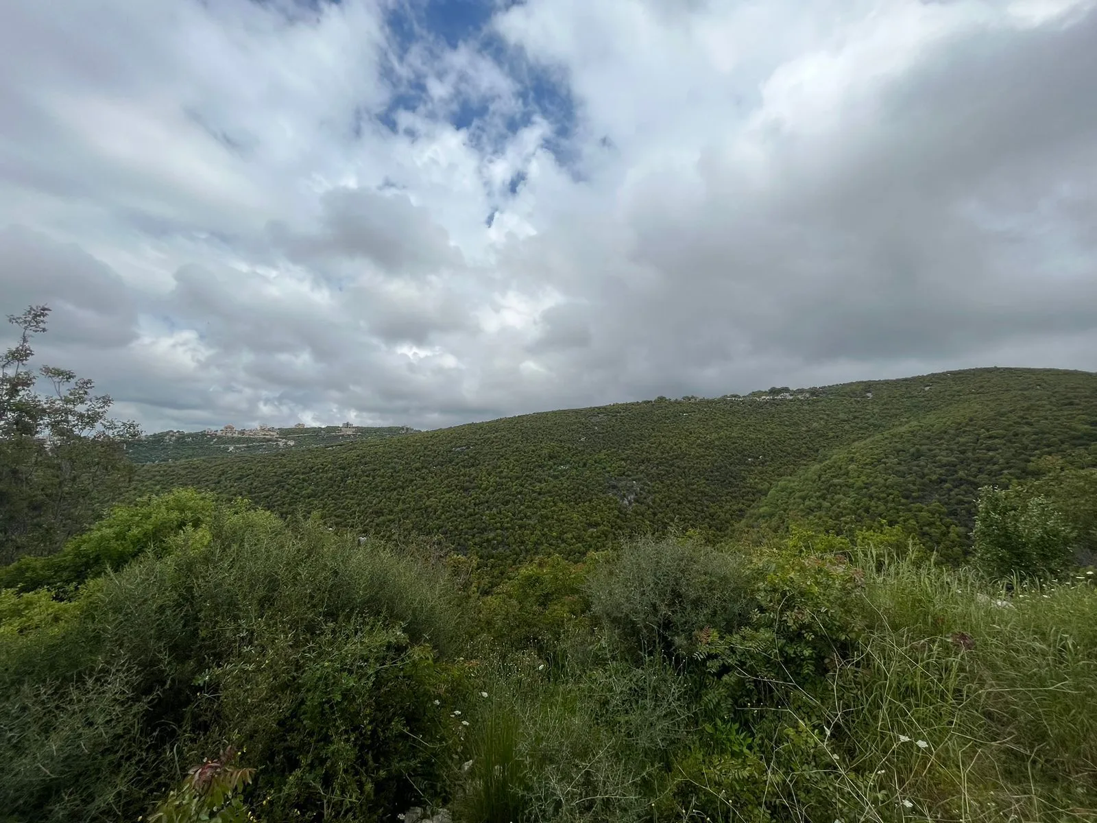 Land for Sale in Habboub