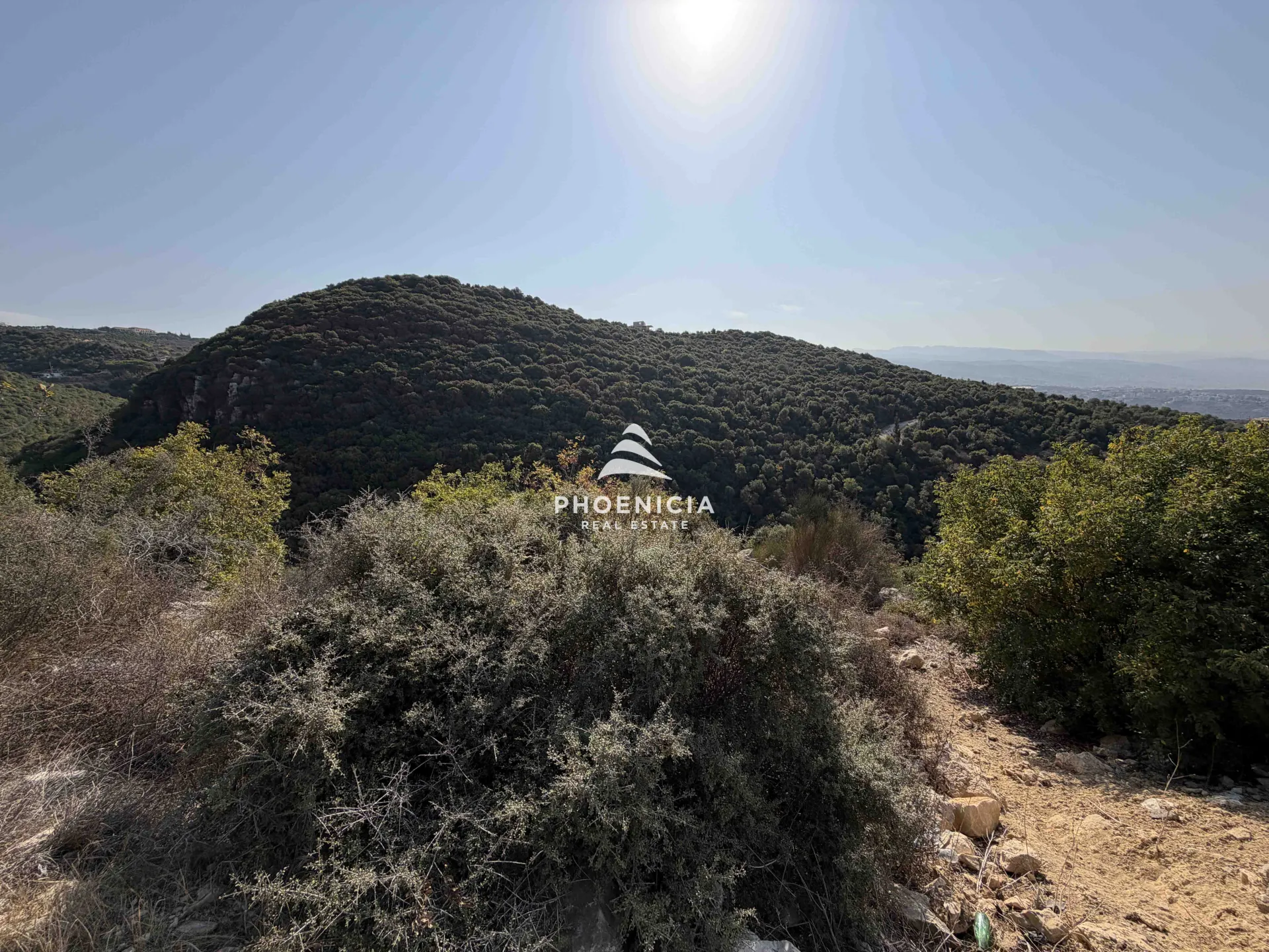 Land for Sale in Gharzouz — الصورة 4
