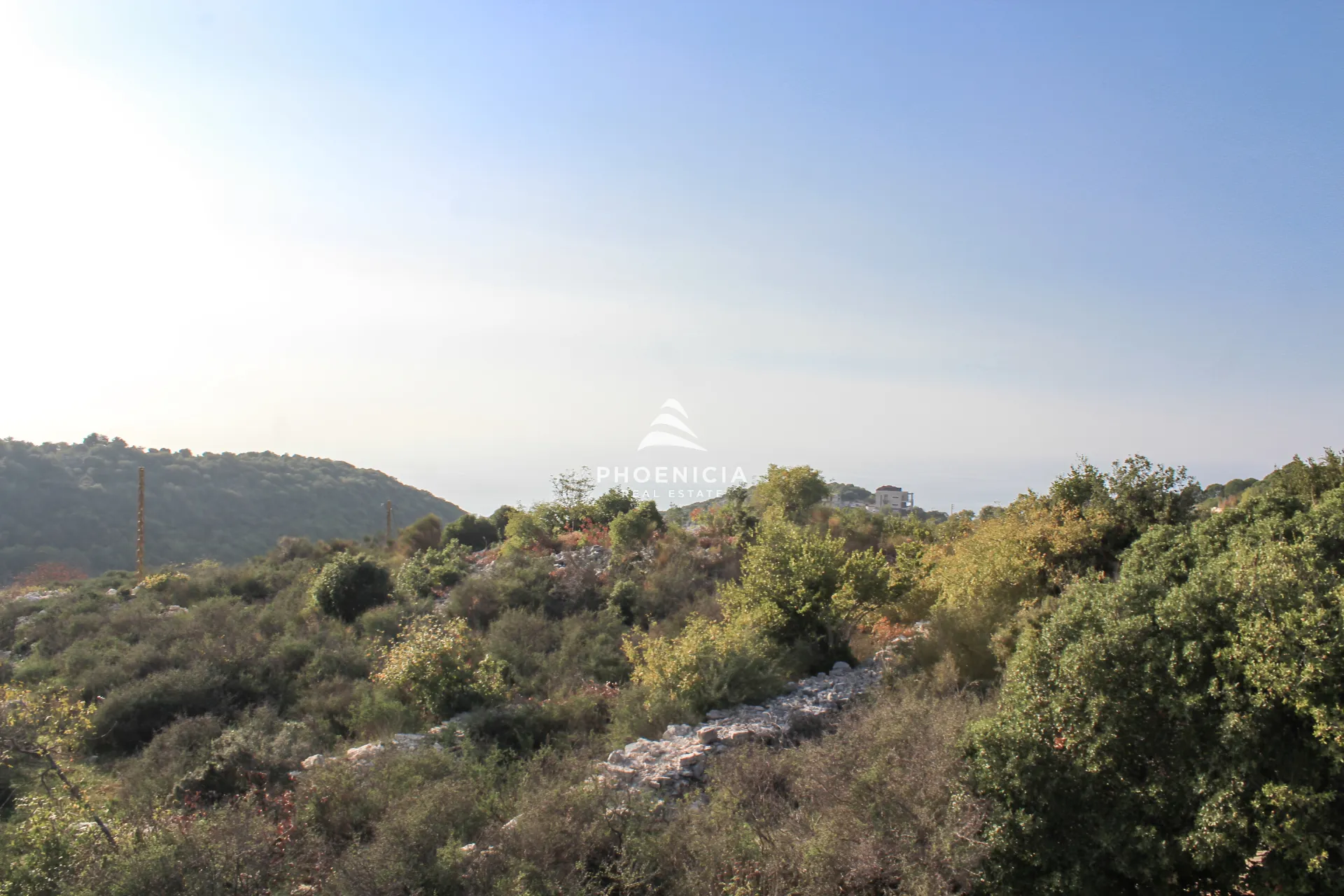 Land for Sale in Gharzouz — الصورة 3