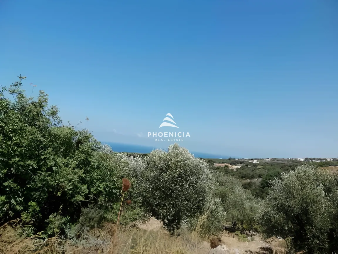 Land for Sale in Monsef — الصورة 3