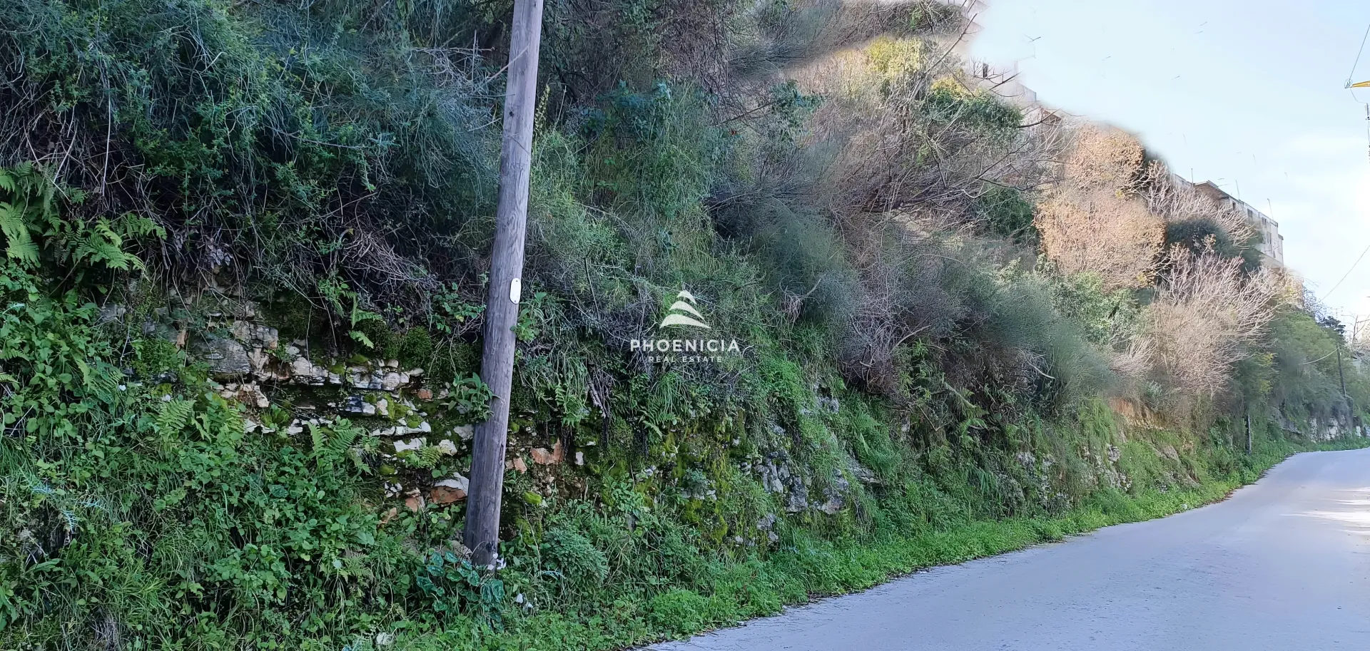 Land for Sale in Gharfine — الصورة 3