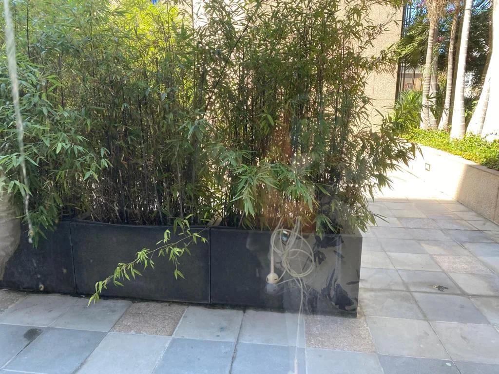 Office for Rent in Tabariss, Achrafieh, Beirut, Lebanon — الصورة 5