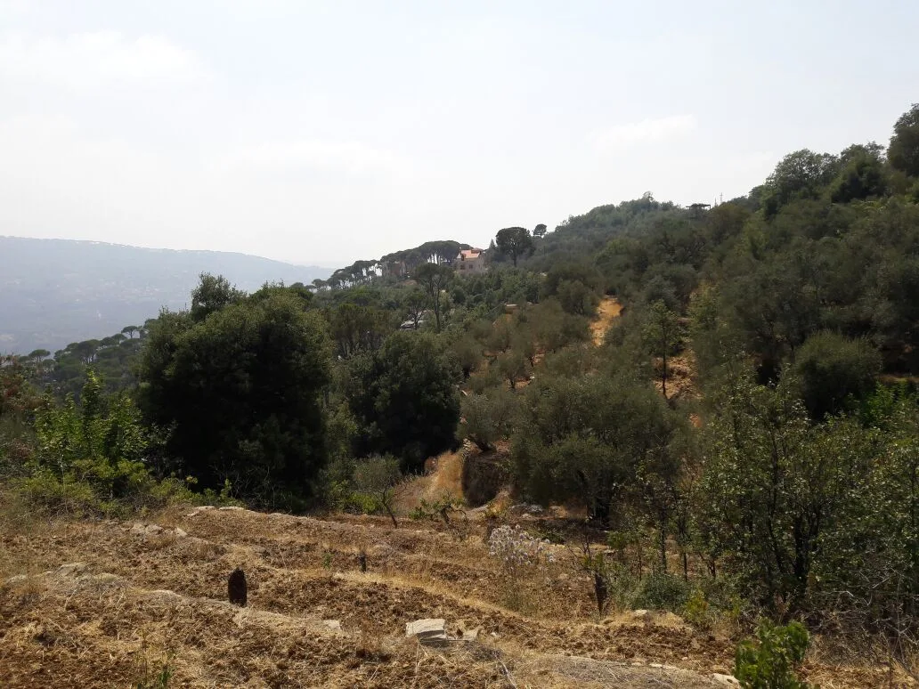 Land for Sale in Qaaqour, Lebanon — الصورة 4