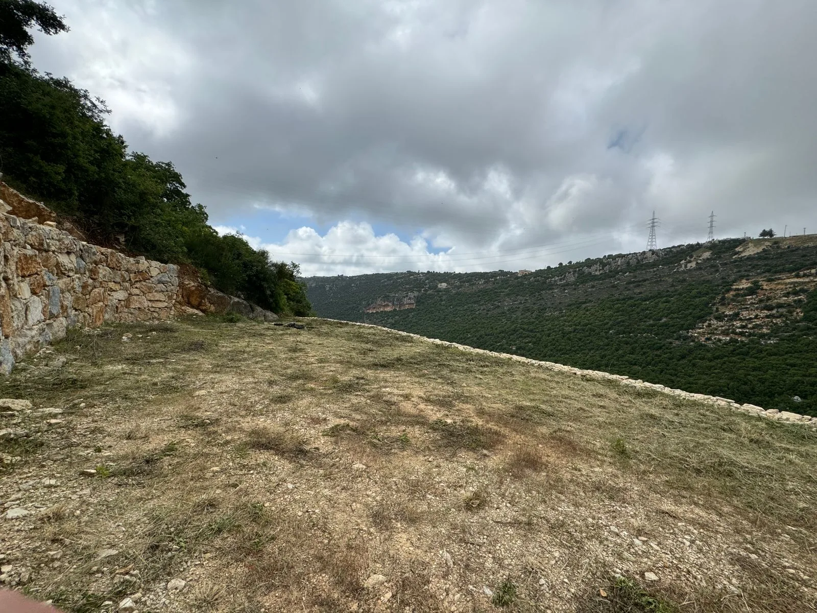 Land for Sale in Haqel, Lebanon — الصورة 3