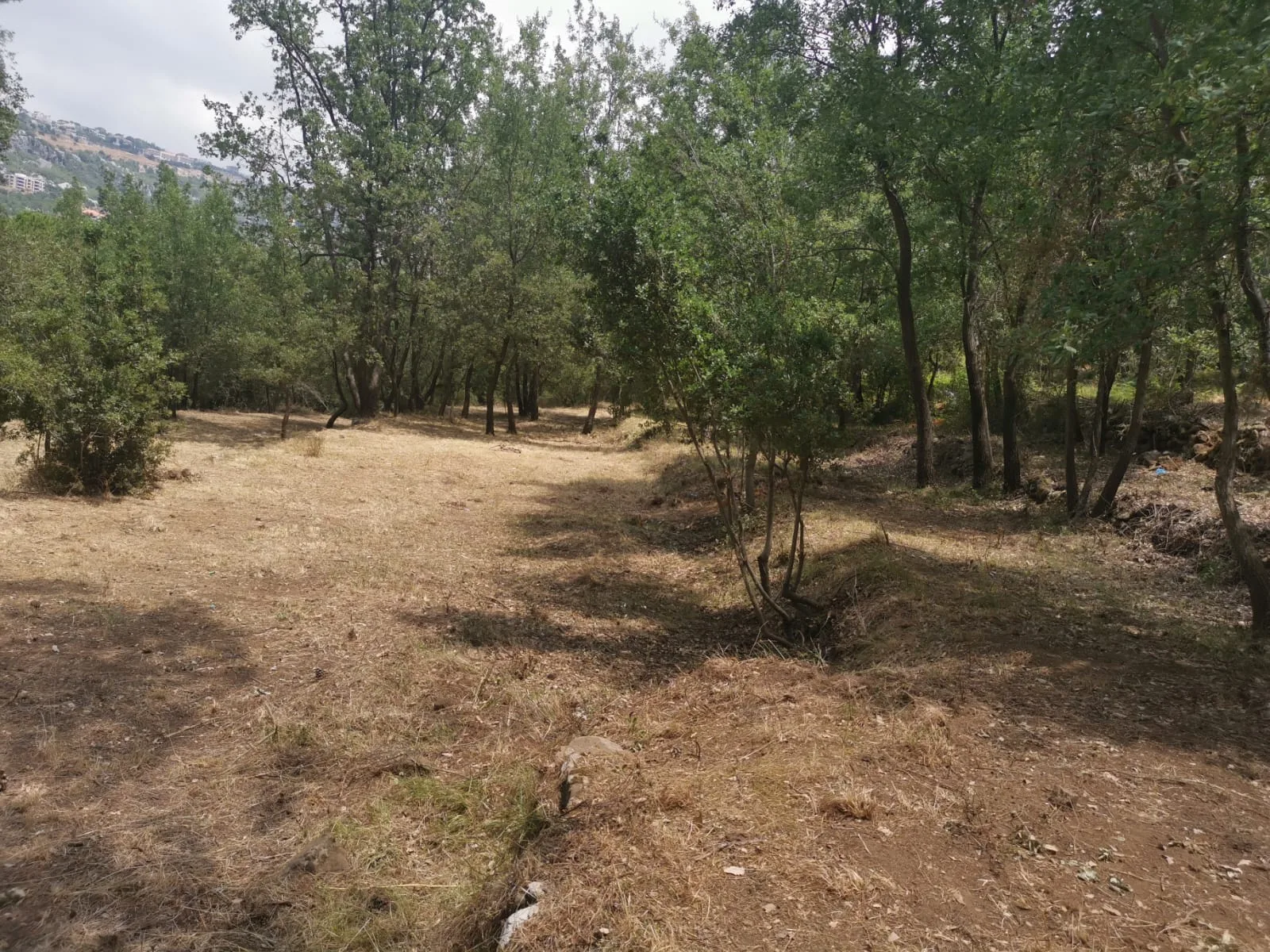 Land for Sale in Bzebdine, Lebanon — الصورة 6