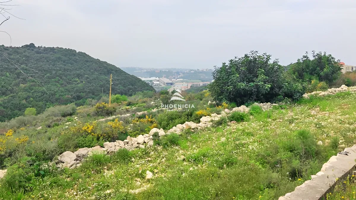 Land for Sale in Gharzouz — الصورة 2