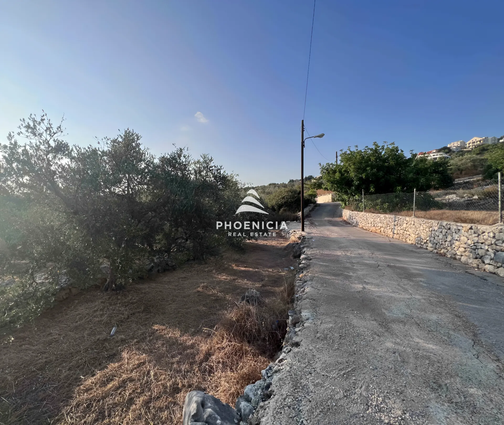 Land for Sale in Chikhane