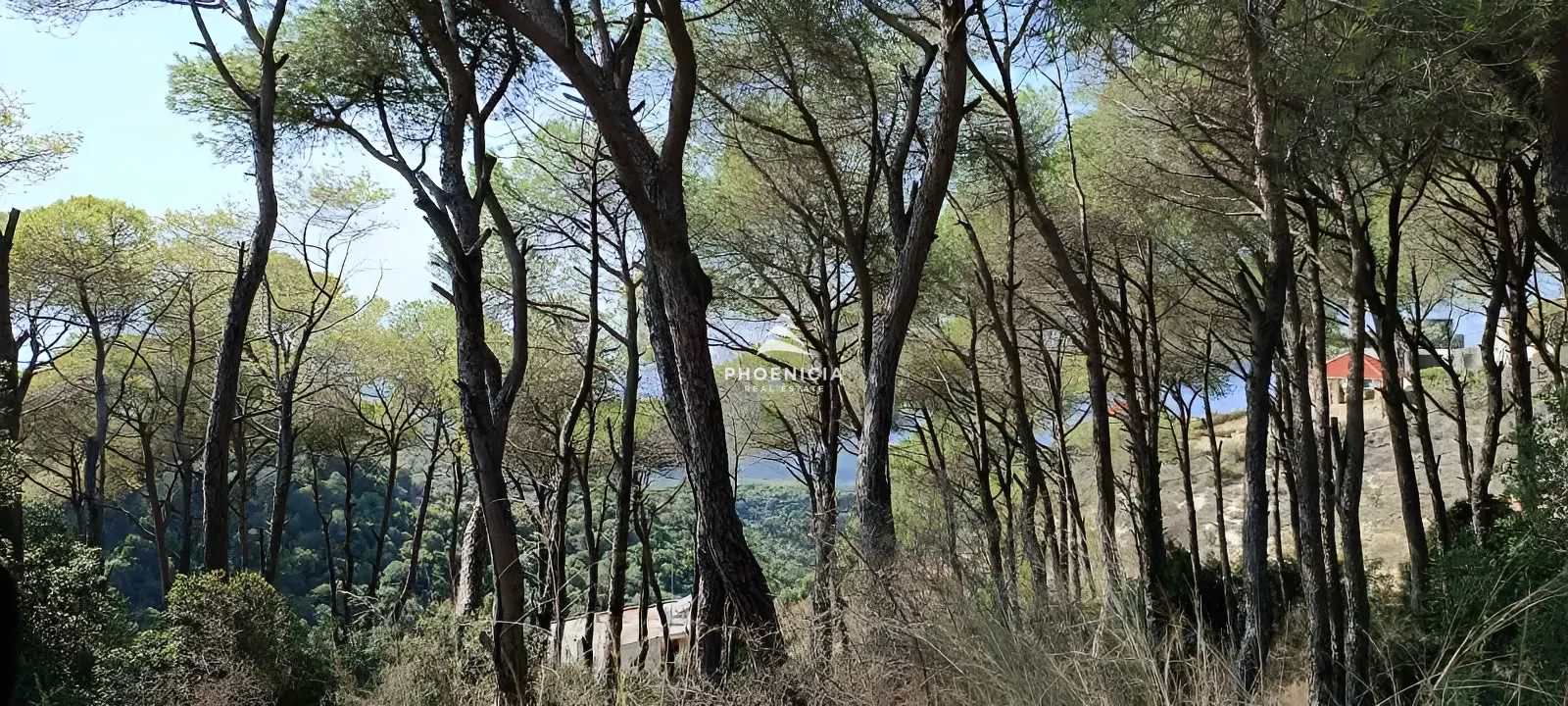 Land for Sale in Gharzouz — الصورة 7