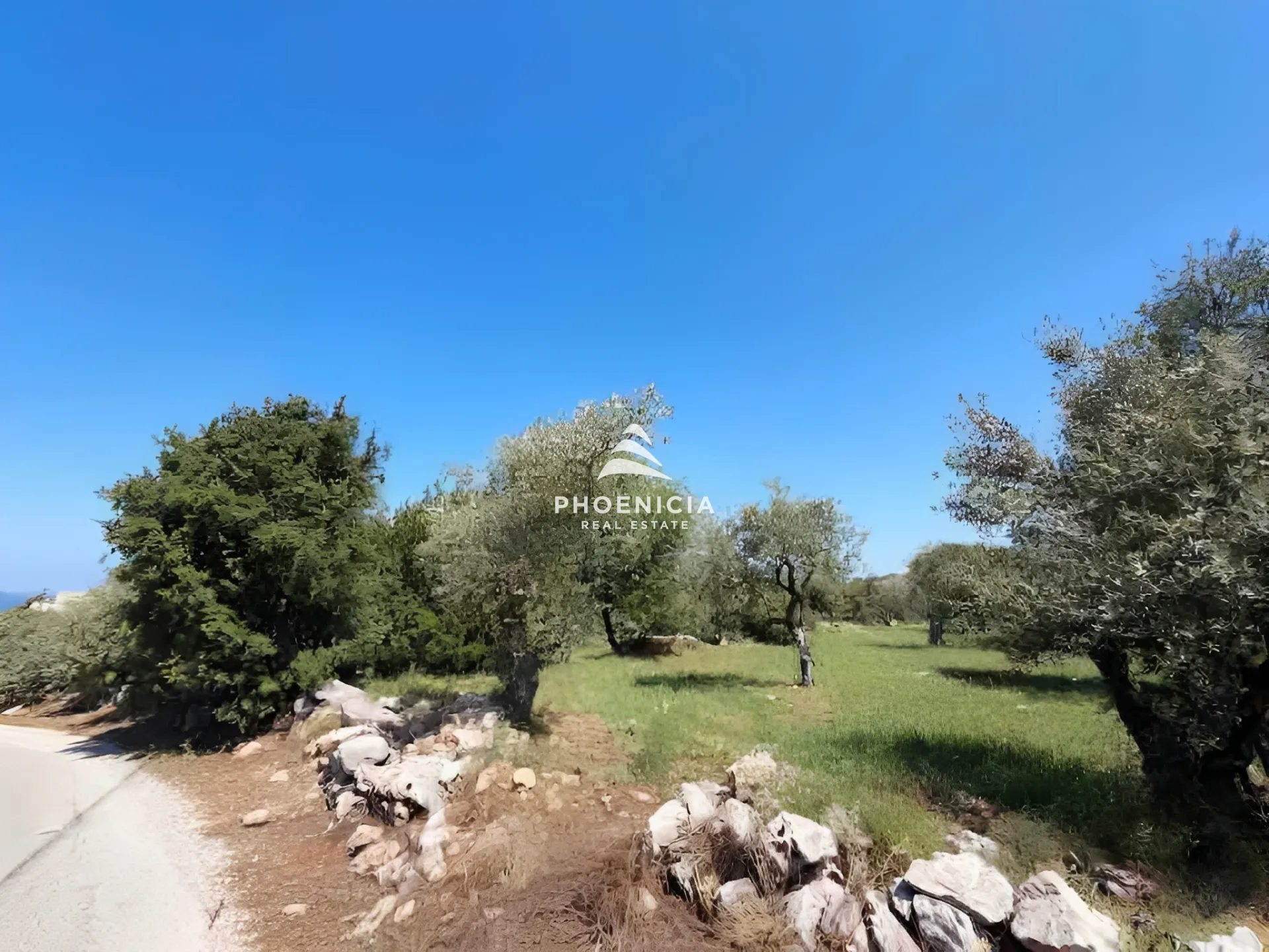 Land for Sale in Monsef — الصورة 4