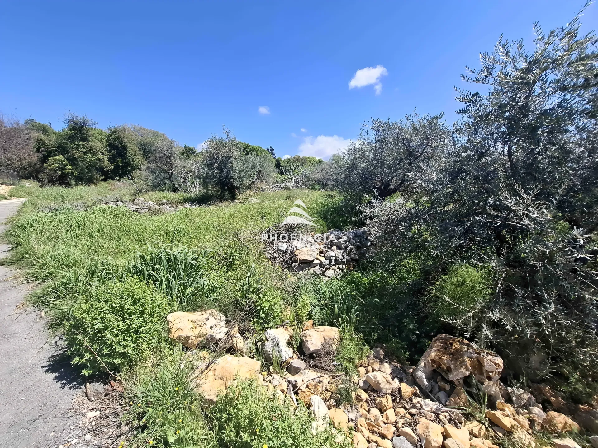 Land for Sale in Monsef — الصورة 9