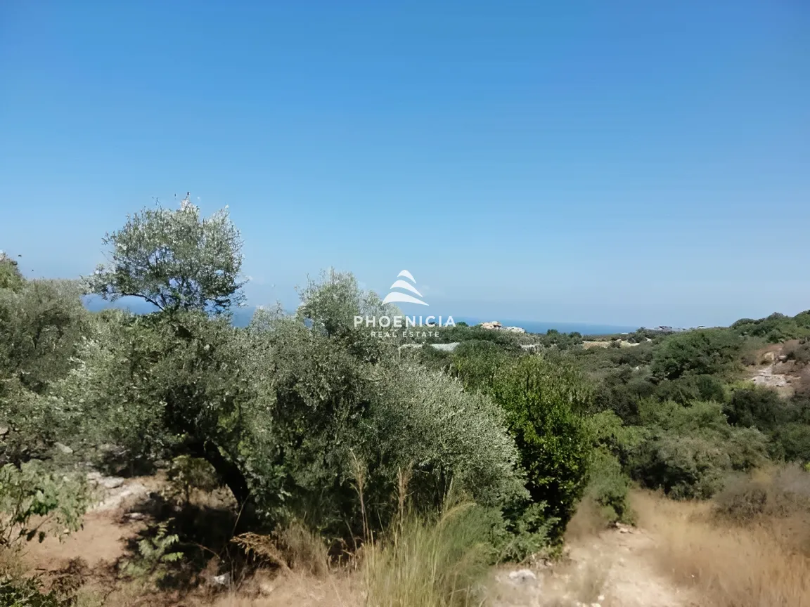 Land for Sale in Monsef — الصورة 4