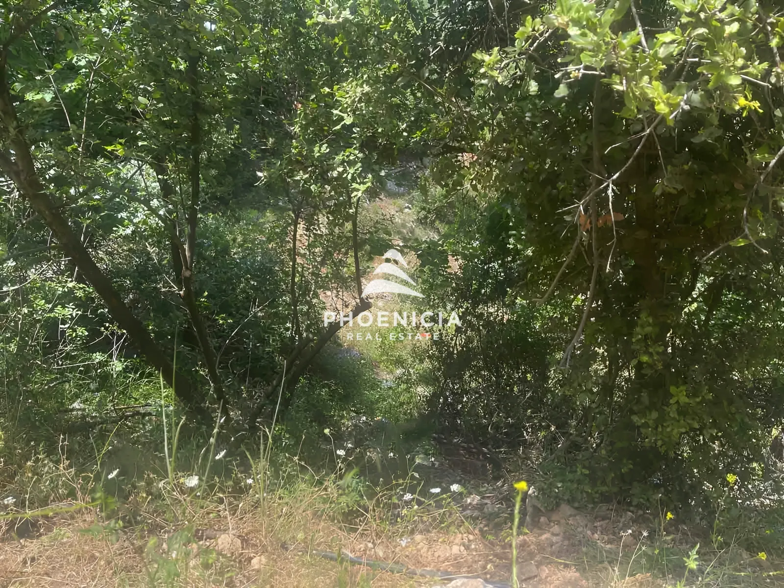 Residential Land for sale in Aabeidat, Jbeil, Lebanon — الصورة 3