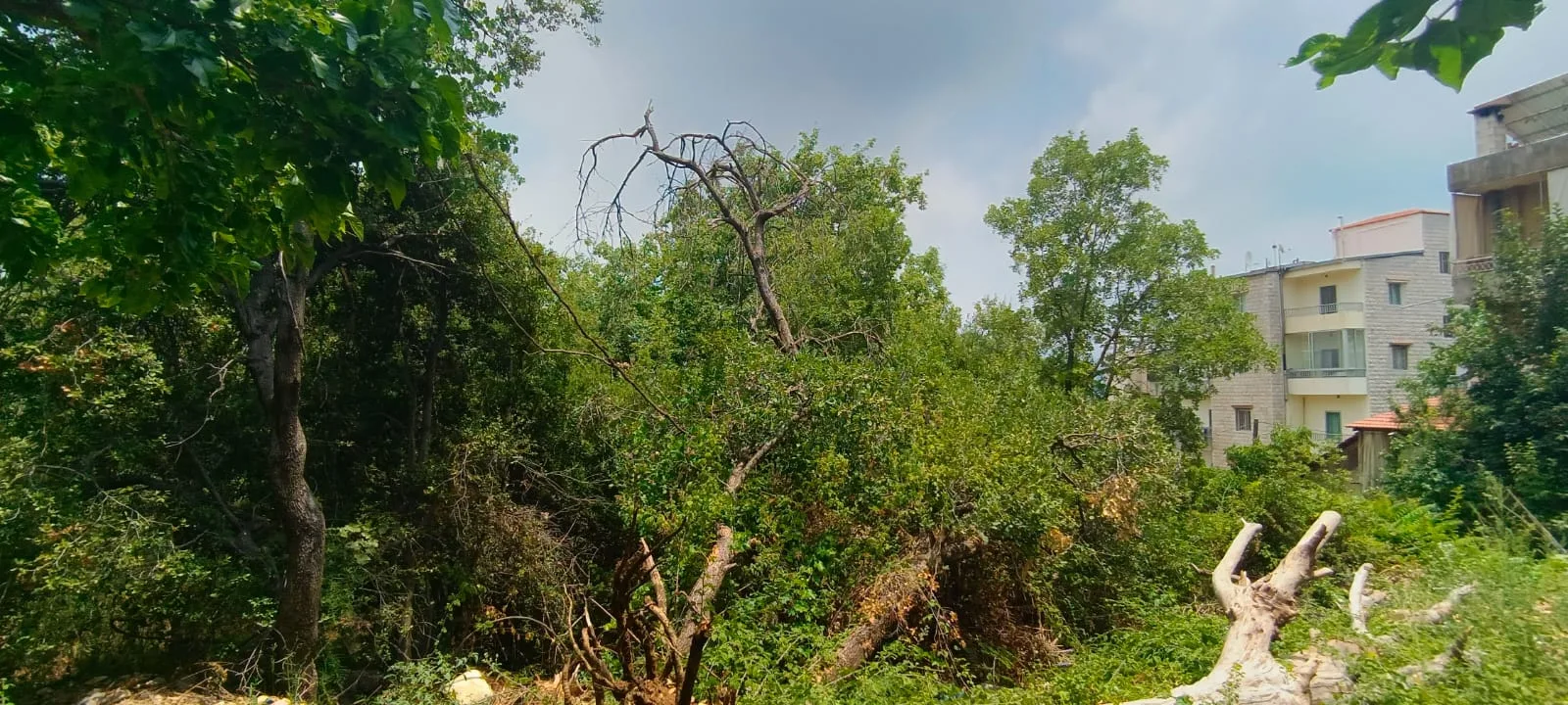 Land for Sale in Qlayaat, Lebanon — الصورة 2