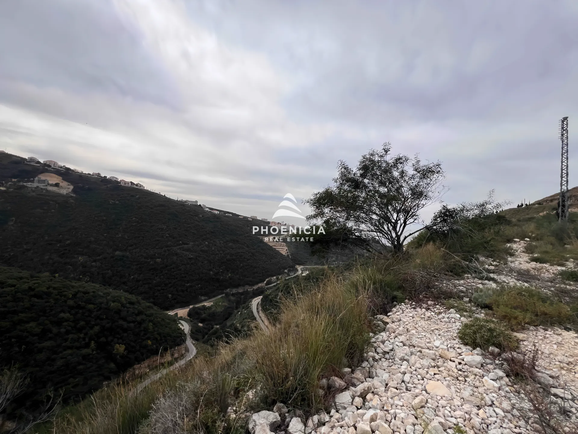 Land for Sale in Edde — الصورة 4