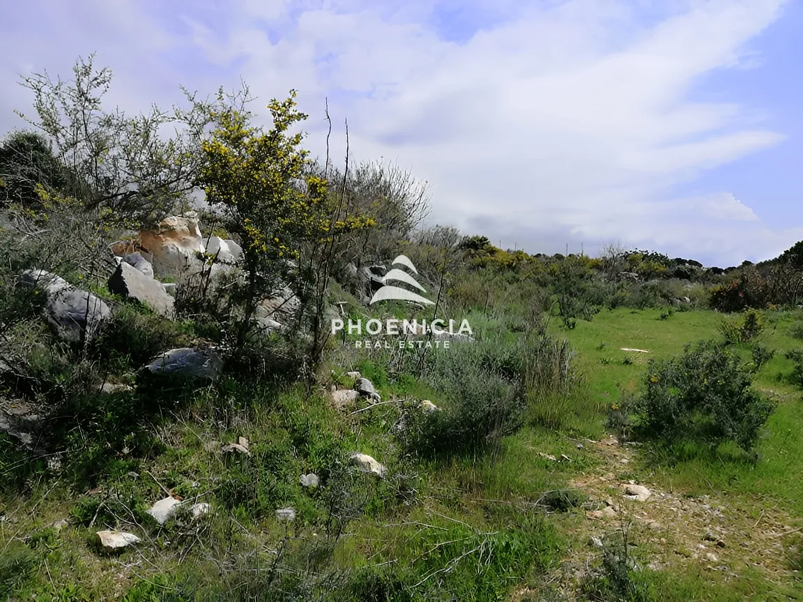 Land for sale in Chikhane, Jbeil, Lebanon — الصورة 13