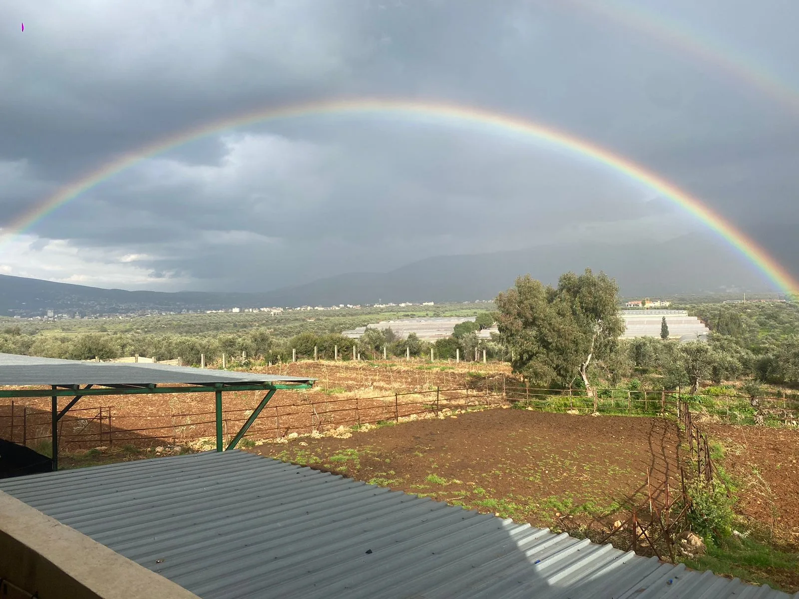 Agricultural Land for rent in Zgharta, Lebanon